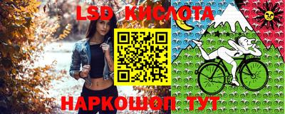 спиды Шебекино