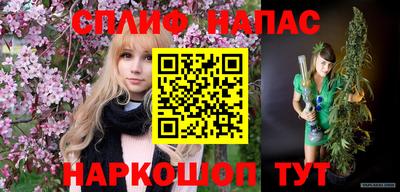 spice Шелехов