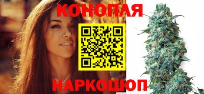 спиды Шебекино
