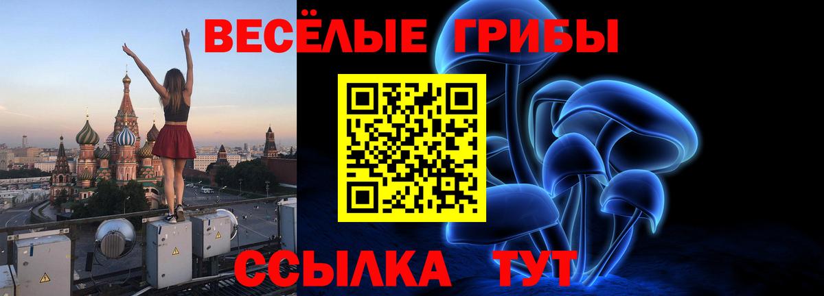 Славгород  Галлюциногенные грибы ЛСД  Вход с VPN 