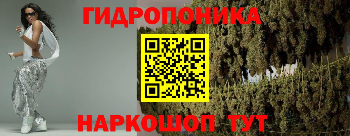 Славгород  Шишки марихуана индика  Вход с VPN  Конопля индика  Каннабис гибрид 